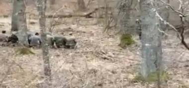 Tentara Rusia Shalat di Tengah Hutan Sebelum Serang Ukraina