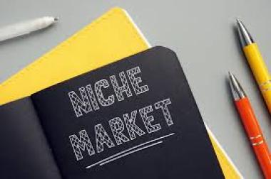 Niche Market: Strategi Memilih Pasar Spesifik Rendah Persaingan